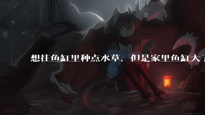 想往鱼缸里种点水草，但是家里鱼缸大了买水草泥或者底砂太贵了，有没有生活中可以替代的物品或其他建议？