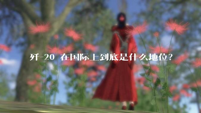 歼-20 在国际上到底是什么地位？