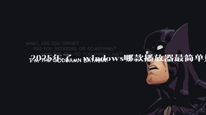 2025年了，windows哪款播放器最简单好用？