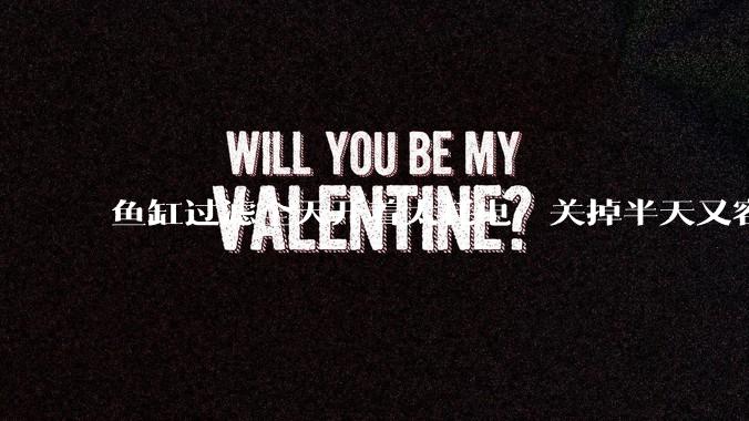 鱼缸过滤全天开着太耗电，关掉半天又容易水浑，有什么好办法？