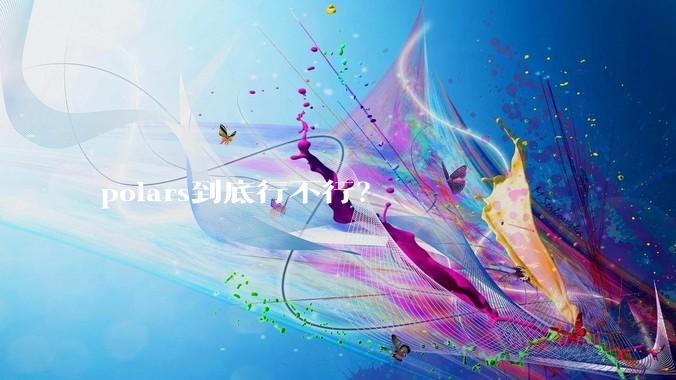 polars到底行不行？