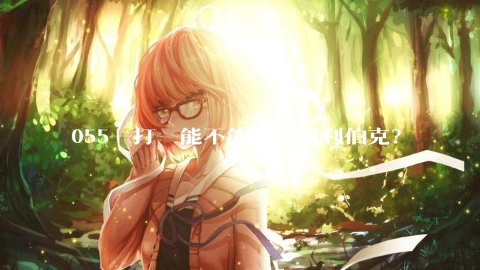 055一打一能不能打过阿利伯克？