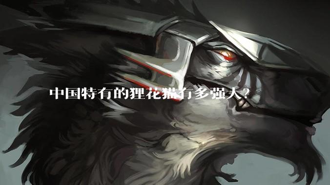 中国特有的狸花猫有多强大？