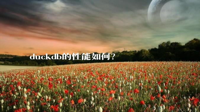 duckdb的性能如何？