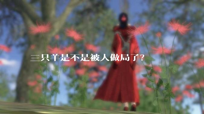 三只羊是不是被人做局了？