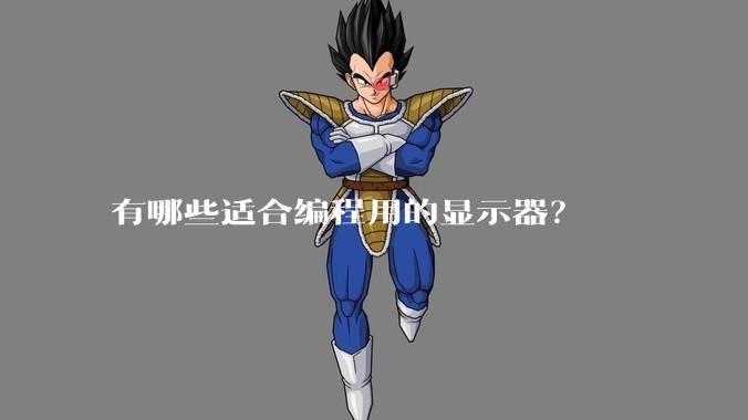 有哪些适合编程用的显示器？