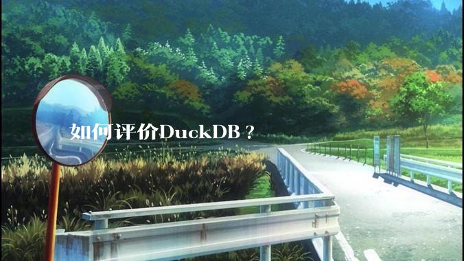 如何评价DuckDB?