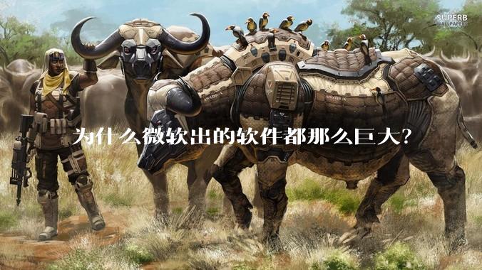 为什么微软出的软件都那么巨大？