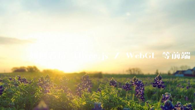 如何看待 Three.js / WebGL 等前端 3D 技术？