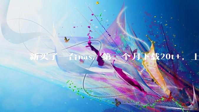 新买了一台nas，第一个月下载20t+，上传5+，不会被网警盯上吧?