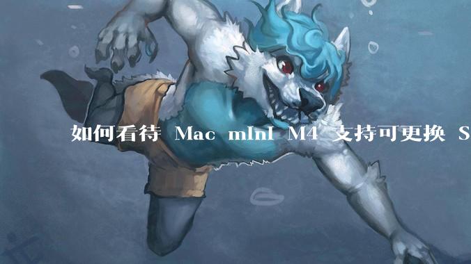 如何看待 Mac mini M4 支持可更换 SSD？