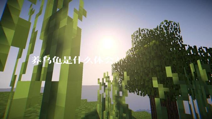 养乌龟是什么体会？